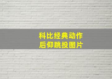 科比经典动作 后仰跳投图片